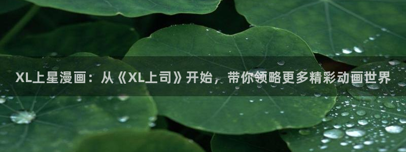 age 动漫 下载:XL上星漫画:从《XL上司》开始,带你领略更多精彩动画世界配图