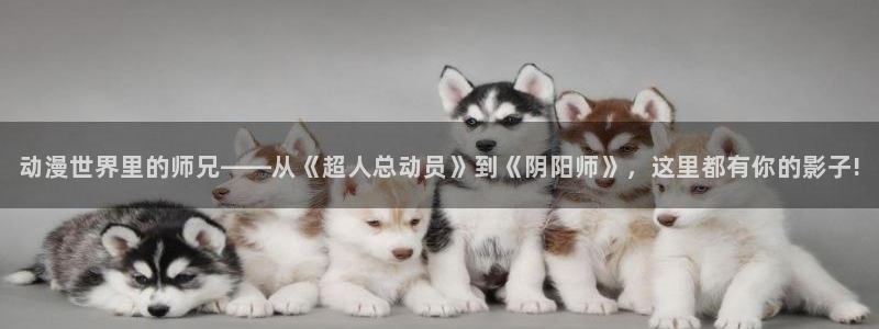 age动漫下载权限：动漫世界里的师兄——从《超人总动员》到《阴阳师》，这里都有你的影子!配图