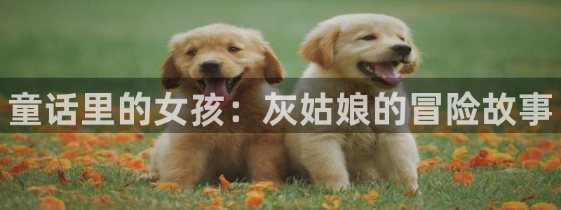 age动漫手机下载：童话里的女孩：灰姑娘的冒险故事配图