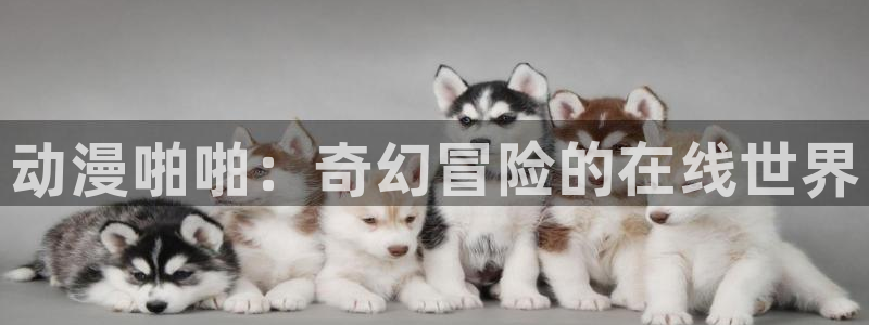 age动漫如何下载：动漫啪啪：奇幻冒险的在线世界配图