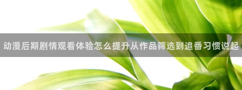 age动漫官方正版网站下载:动漫后期剧情观看体验怎么提升从作品筛选到追番习惯说起配图