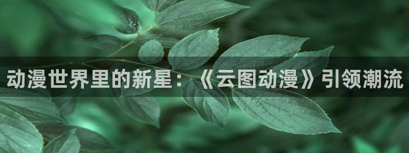 age动漫下载观看：动漫世界里的新星：《云图动漫》引领潮流配图
